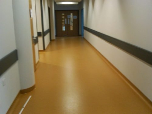 WhatsApp-Image-2025-09-09-at-8.46.50-AM