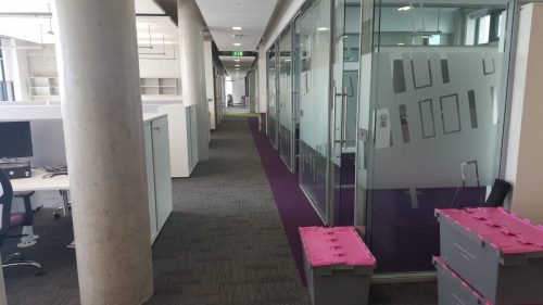 WhatsApp-Image-2025-09-09-at-8.46.54-AM